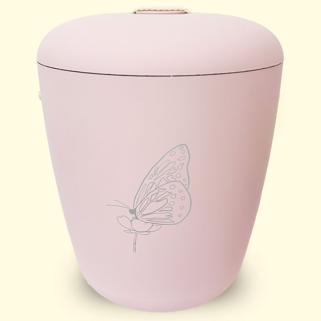 Pioni-perhonen-Benutree