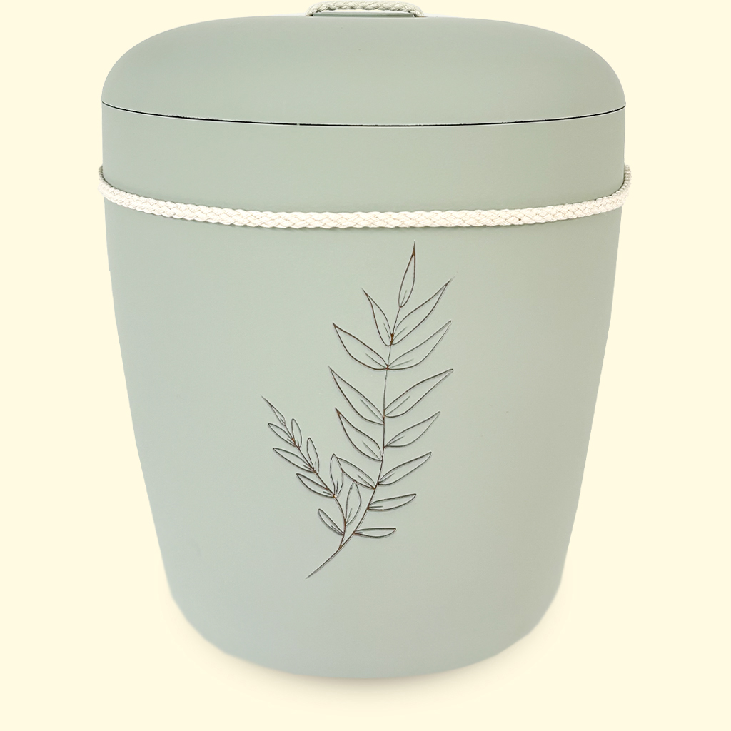 Tuomi-oliivinlehti-Benutree