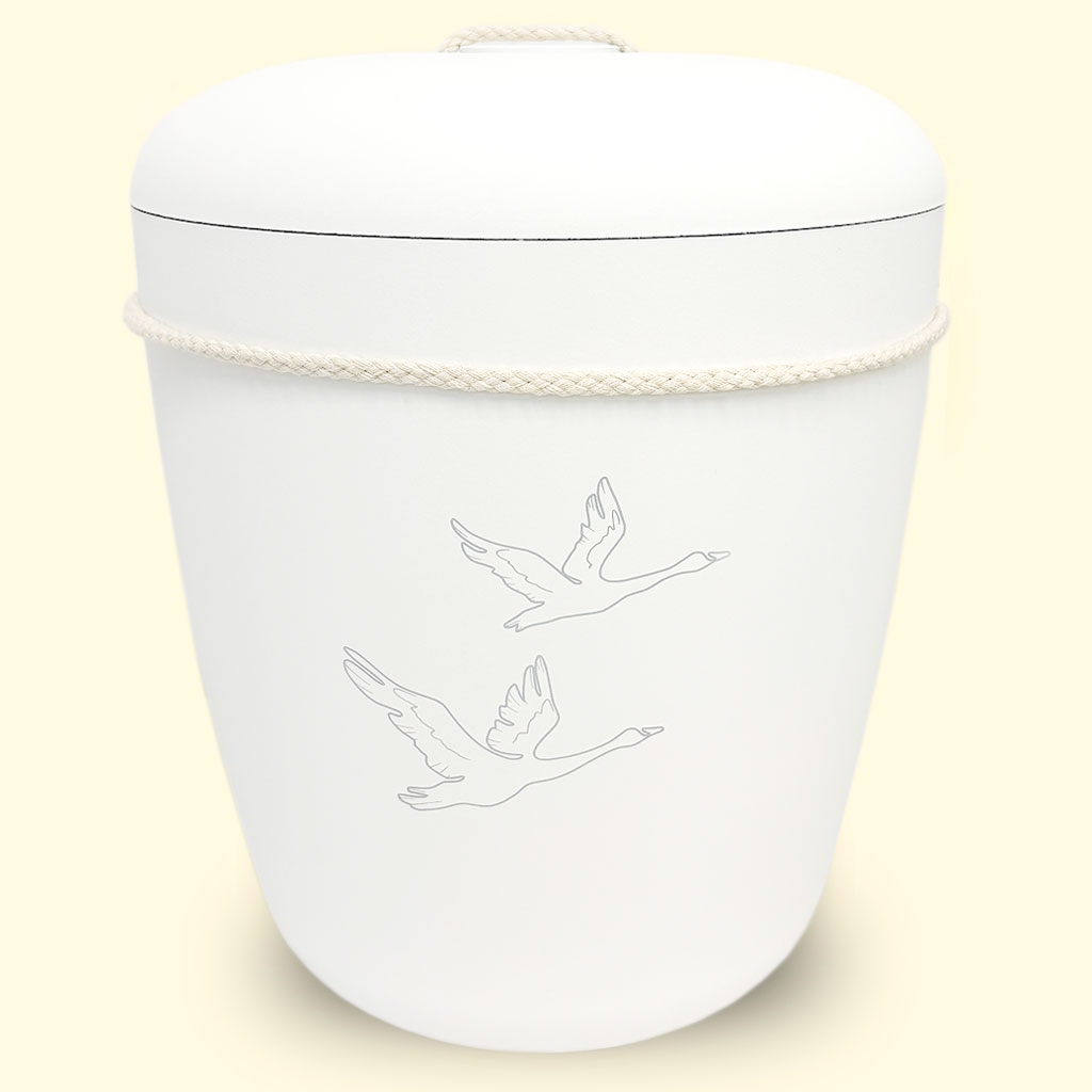 Viti-joutsenet Benutree